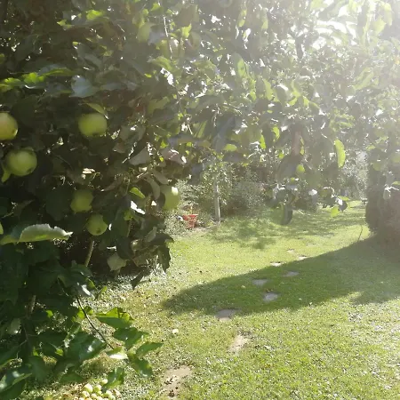 Gasthof Turizem Grabrijan *